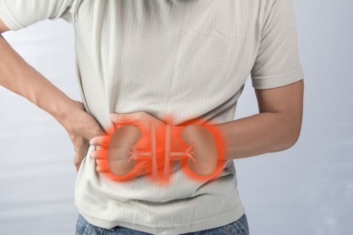 Signs and Symptoms of Kidney Failure — Plus More on Kidney Health
