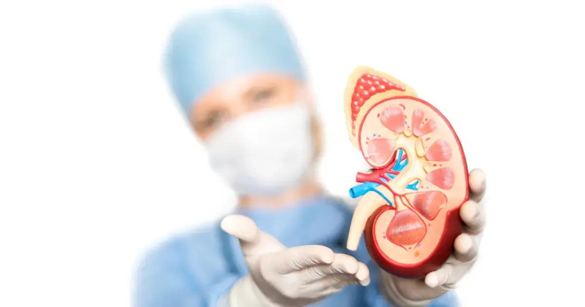 Signs and Symptoms of a Kidney Infection