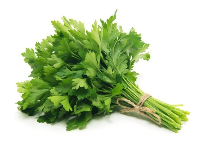 The Incredible Health Benefits of Parsley