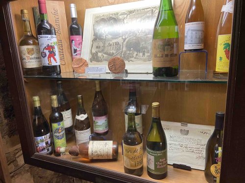 Le M. musée du vin : un lieu atypique au cœur de la capitale