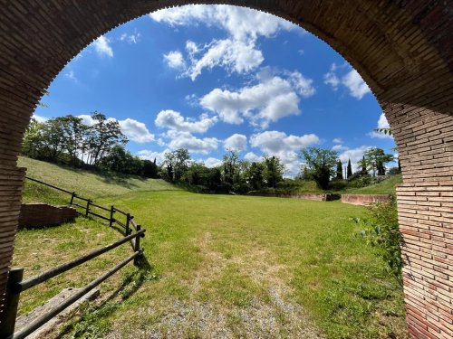 Les arènes romaines, rares vestiges de Toulouse, vont changer d'allure : un nouveau projet va voir le jour