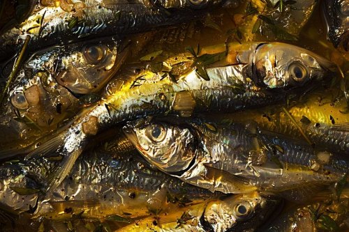 Décryptage du lien inquiétant entre l'huile de cuisson et le cancer