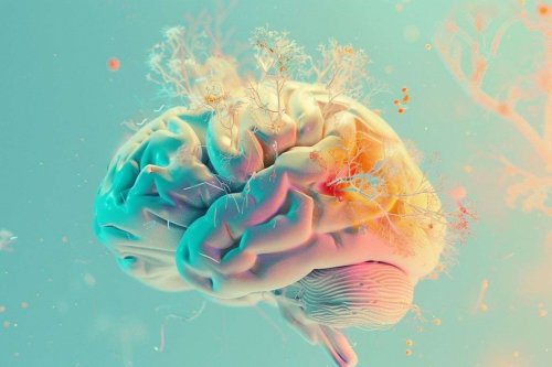 La schizophrénie pourrait être liée à un vieillissement cérébral accéléré