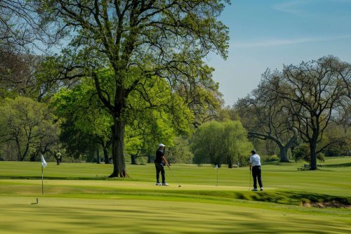 Vivre à proximité d’un golf augmenterait-il le risque de Parkinson ? Ce que révèle une nouvelle étude