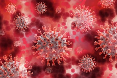 Khosta-2, un nouveau coronavirus résistant aux vaccins existants