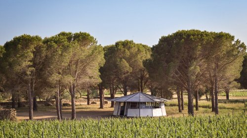 Designklassiker: In den Weinbergen Kataloniens können Sie jetzt das Marabout House besichtigen
