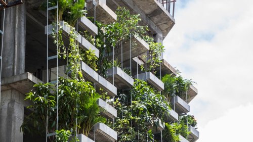 Ideen zur Green City: Ausstellung in Düsseldorf zeigt, wie unsere Städte grüner werden | AD Magazin