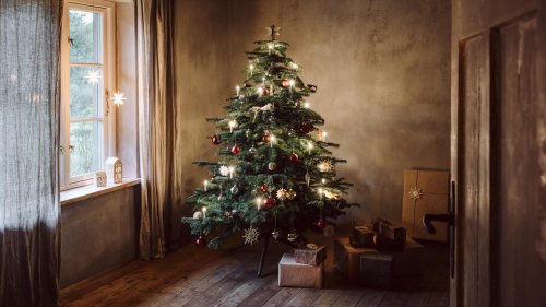 Weihnachtsbaum-Alternative: Die 5 schönsten Ideen für einen nachhaltigen Tannenbaum