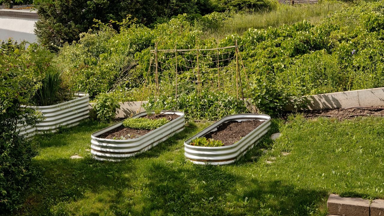 Hochbeet für den Balkon: DIY-Anleitung zum Selberbauen