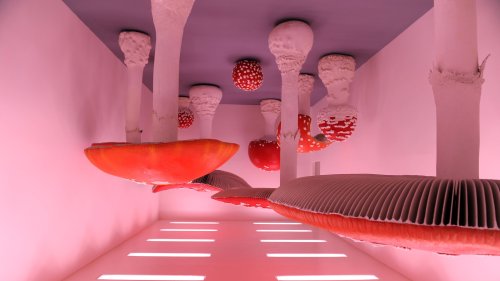 Vom Wald in die Wohnung: Pilze sind der neueste Interior-Trend