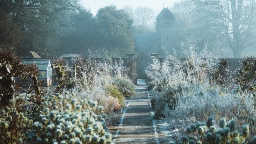Gärtnern im Dezember: Diese 10 Tipps machen Ihren Garten jetzt winterfest
