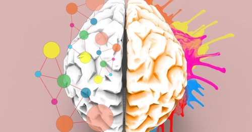 Neuroscience cover image