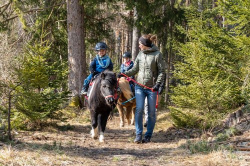 Der Stern: Urlaub auf dem Bauernhof in Tirol. Natur, Nachhaltigkeit & Entschleunigung für die ganze Familie