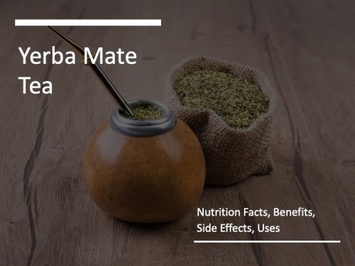 Yerba Mate Tea: Nutrition Facts, Benefits, Side Effects, Uses