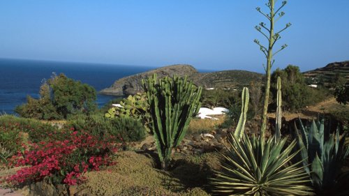Carole Bouquet : sa maison sur l'île volcanique de Pantelleria