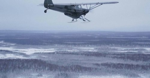 ‘It’s A Bird! It’s A Plane!’ In Alaska, It’s Both, With A Pilot Tossing ...