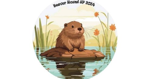 Beaver Round-Up festivities begin this week