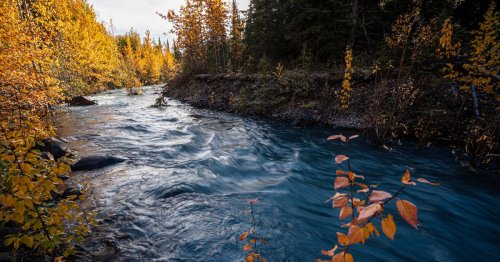 OPINION: We have a once-in-a-generation chance to restore the Eklutna River