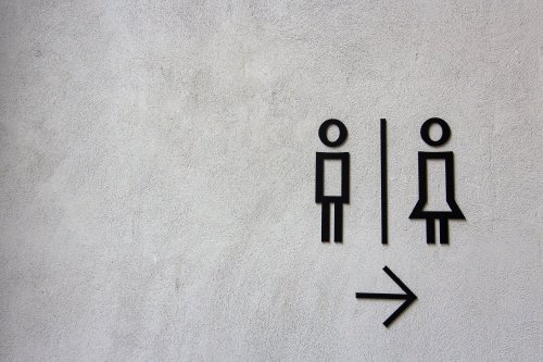 Bagni unisex, come sono fatti e perché stanno creando confusione in Giappone