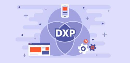 Digital Experience Platforms (DXPs): What Are They And Should You Build One?