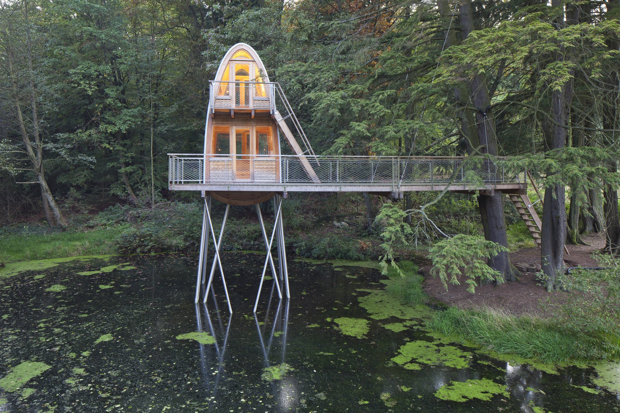 Treehouse Solling / baumraum