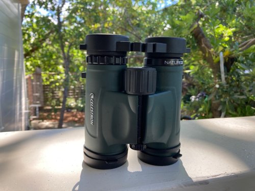 We Love These Affordable, No-Frills Binoculars For Birding and Trail Spotting