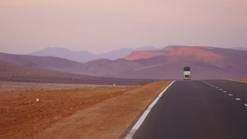 One Moroccan road trip, two women, three dogs, and a new highway through the Sahara