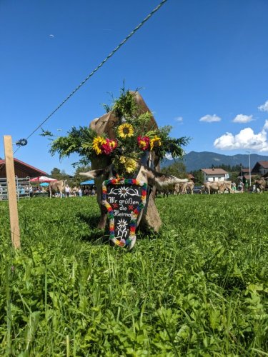 Sommerausklang am Berg – den farbenfrohen Almabtrieb mit Kindern erleben