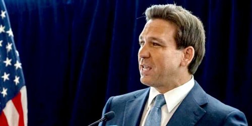 DeSantis Calls Book Bans a Hoax, Brags About Banning Books