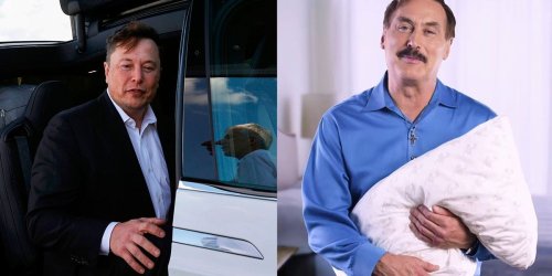 Why Elon Musk Is the New Mike 'MyPillow' Lindell
