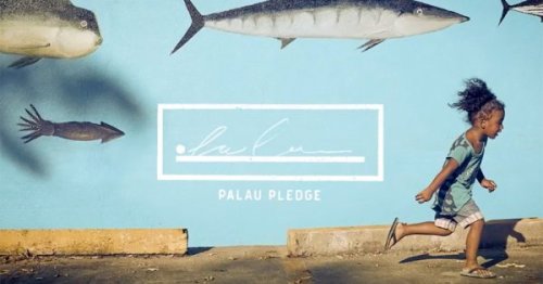 Small Nation, Big Wins: 'Palau Pledge' Tops Cannes Lions With 3 Grand Prix