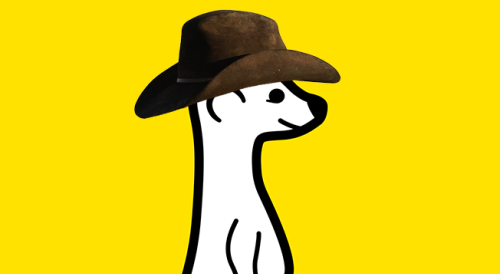 The Meerkat Issue - Fish Where The Fish Are cover image