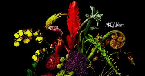 AKQA Shutters Sustainability-Focused Creative Shop