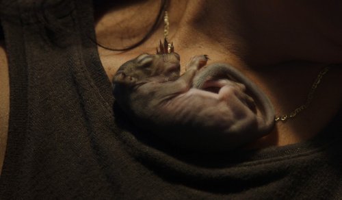 What happened when one woman raised an abandoned squirrel as her own