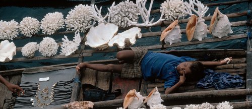 Why do we sleep?