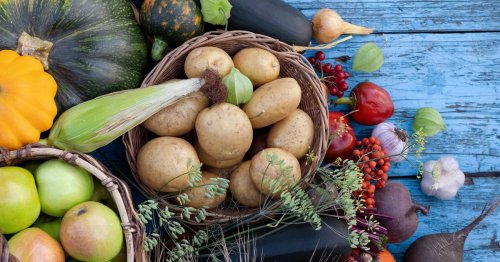 Calendrier des fruits et légumes de saison : les produits à déguster en octobre
