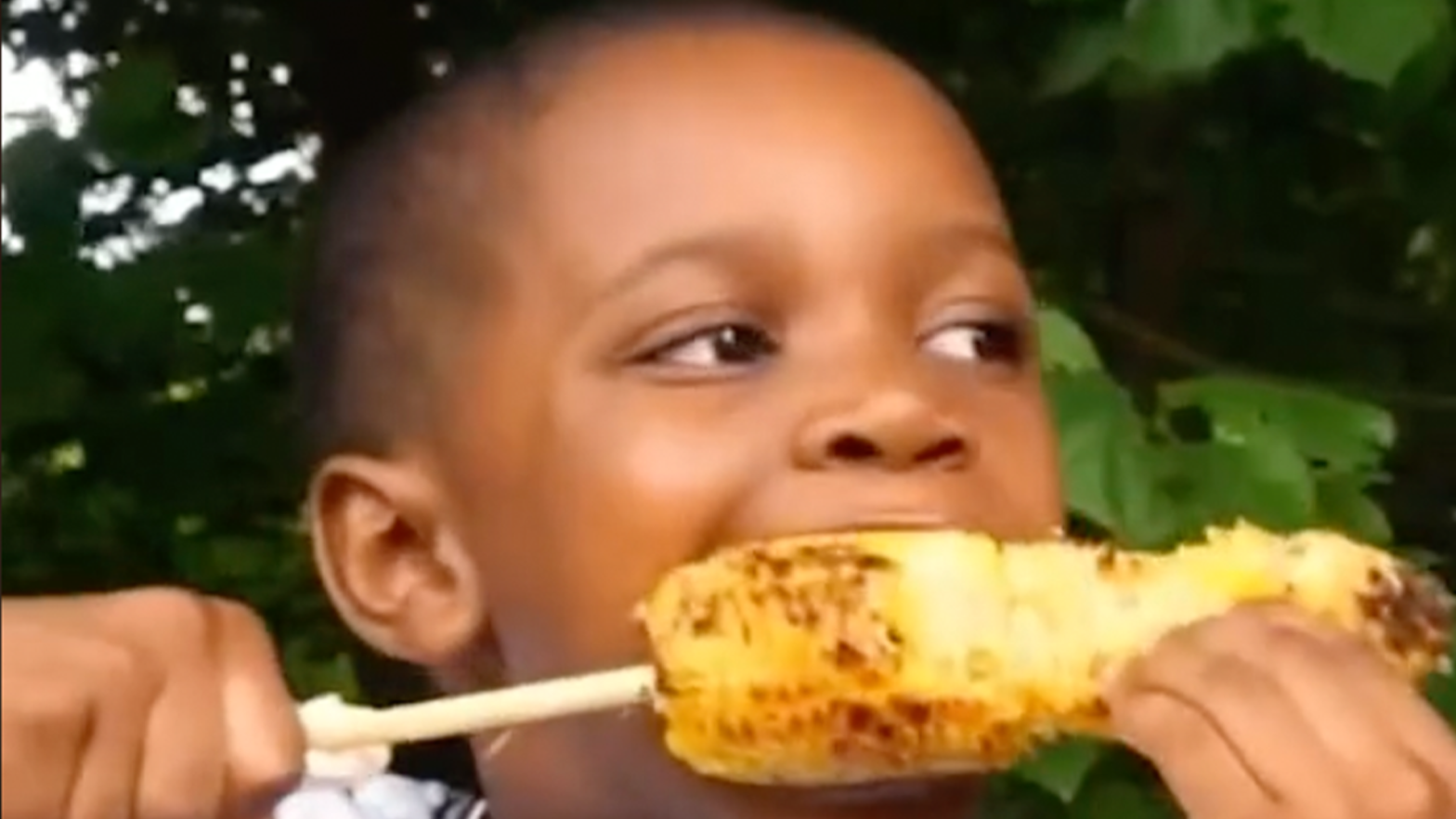 What's With the Corn Meme? Flipboard