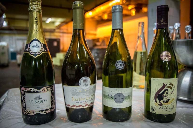 Reviving the ancient tradition of wine-making in Egypt