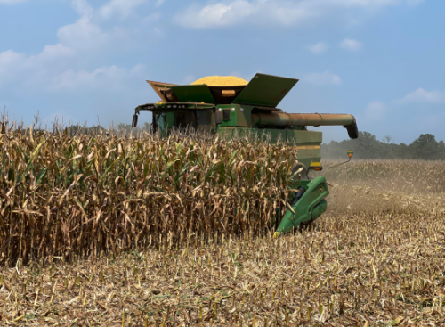 Corn and soybean harvest begins in Arkansas