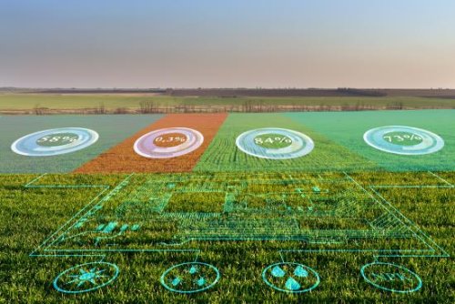 Agriculture embraces artificial intelligence