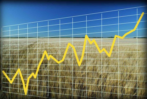 CBOT Wheat Up Nearly 14¢ | Tuesday, May 20, 2025