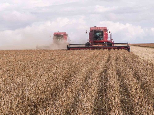 Argentina’s Main Farm Region Will See Mostly Dry Weather in Next Week