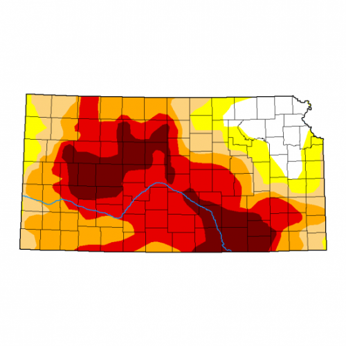 Cattle, wheat, and farmers are suffering in Kansas