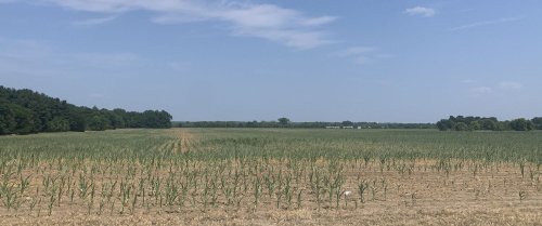 Extreme drought creeps into southwest, southeast Iowa
