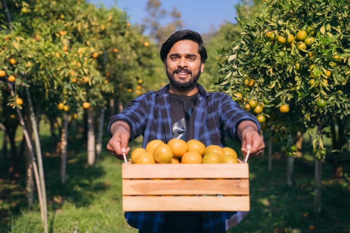 How Citrus Farming in the Middle East is Turning Arid Land into Agricultural Gold