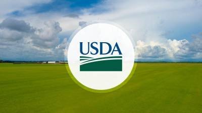 India Leads Record Rice, Wheat Output in 2024-25 — USDA April Report