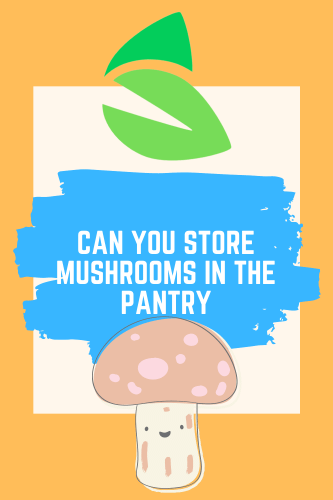 Can You Store Mushrooms in the Pantry