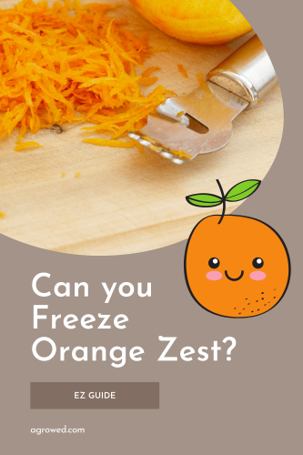Can you freeze orange zest?