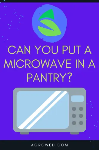 Can You Put a Microwave in a Pantry, Should You?