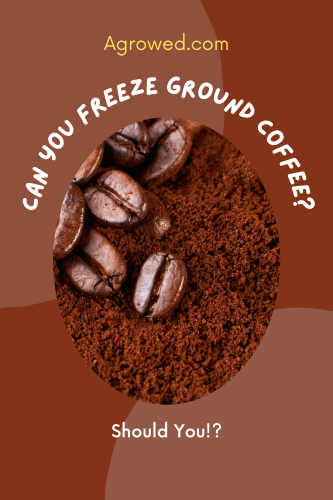 Can You Freeze Ground Coffee?